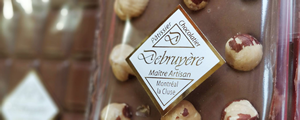 logo-debruyere